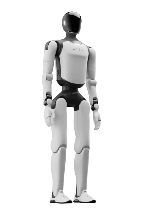 Wybe Performance, standing